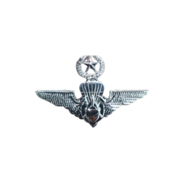 BOMBA WING SILVER WITH STAR BUNGA PADI