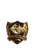 BOMBA BADGE INTEGRITY