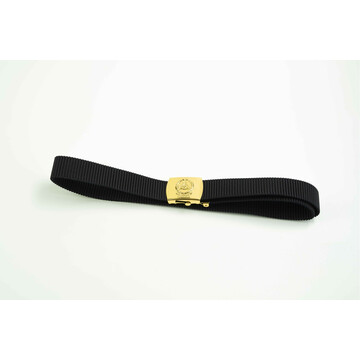 APM BELT