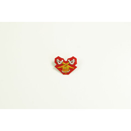 ARMY BADGE PTI (SULAM) 