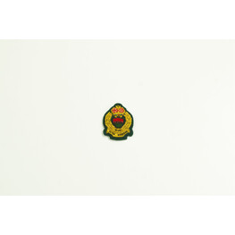 ARMY CAP BADGE RS GREEN (SMALL)