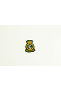 ARMY CAP BADGE RSD GREEN (BIG)