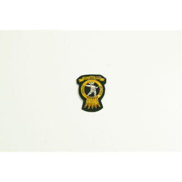 ARMY CAP BADGE RSD GREEN (BIG)