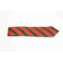 ARMY NECK TIE RRD
