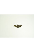 BADGE AE WING METAL