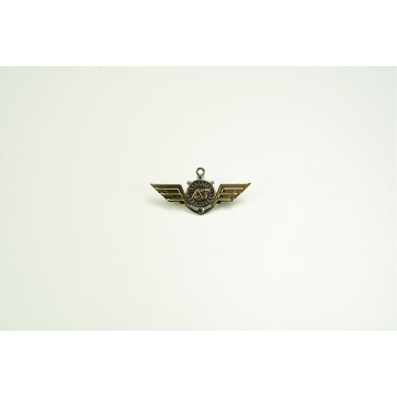 BADGE AT WING METAL