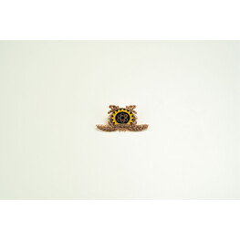 BADGE TECHNICIAN BRONZE METAL