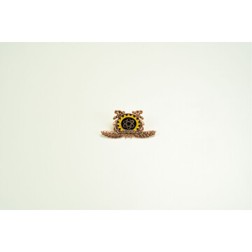 BADGE TECHNICIAN BRONZE METAL