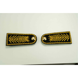 EPAULETTE PENANG