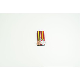 MEDAL PPA PPS MESSKIT