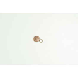 MEDAL PPS (SMALL)