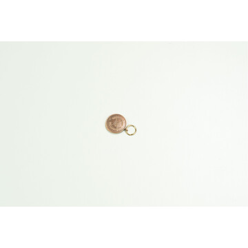 MEDAL PPS (SMALL)