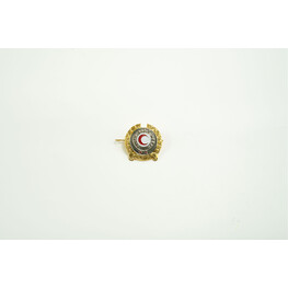 PBSM CAP BADGE METAL