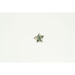 PENJARA STAR SI METAL