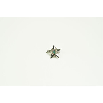 PENJARA STAR SI METAL