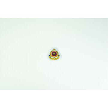 REFLECTOR LOGO PTCM