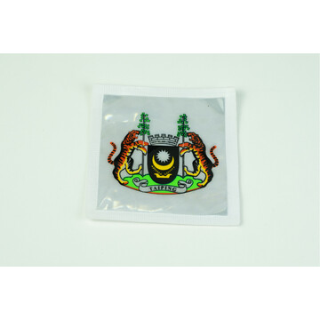 REFLECTOR LOGO TAIPING