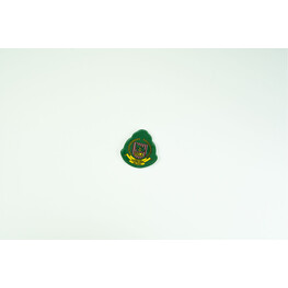 RELA REFLECTOR LOGO (GREEN)