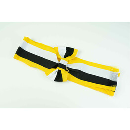 SASH DATO PAHANG