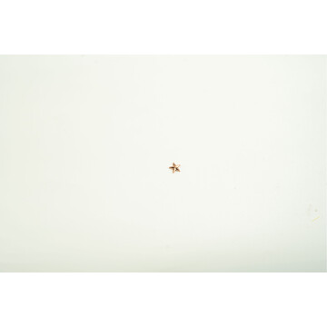 STAR GOLD (SMALL)