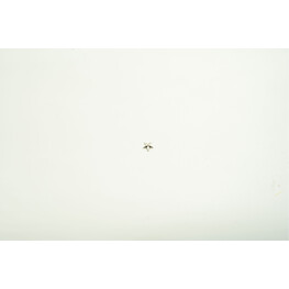 STAR SILVER (SMALL)