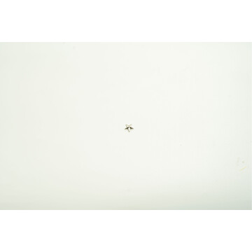 STAR SILVER (SMALL)
