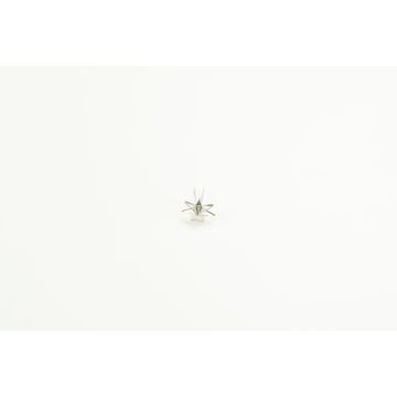 SSM STAR (NEW)