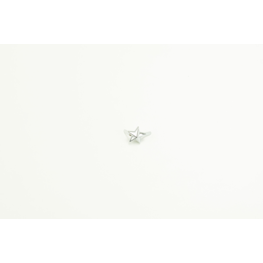 SSM STAR (OLD)